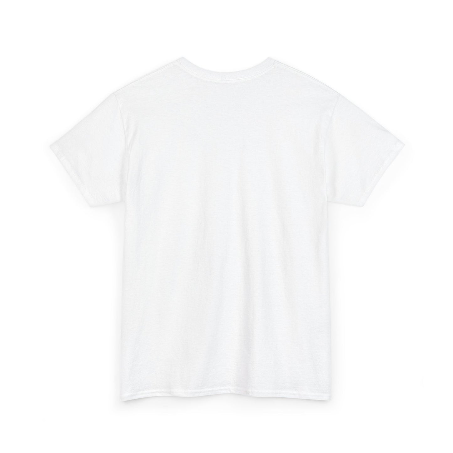 Lost Shaker of Salt | RMNP | Heavy Cotton Tee