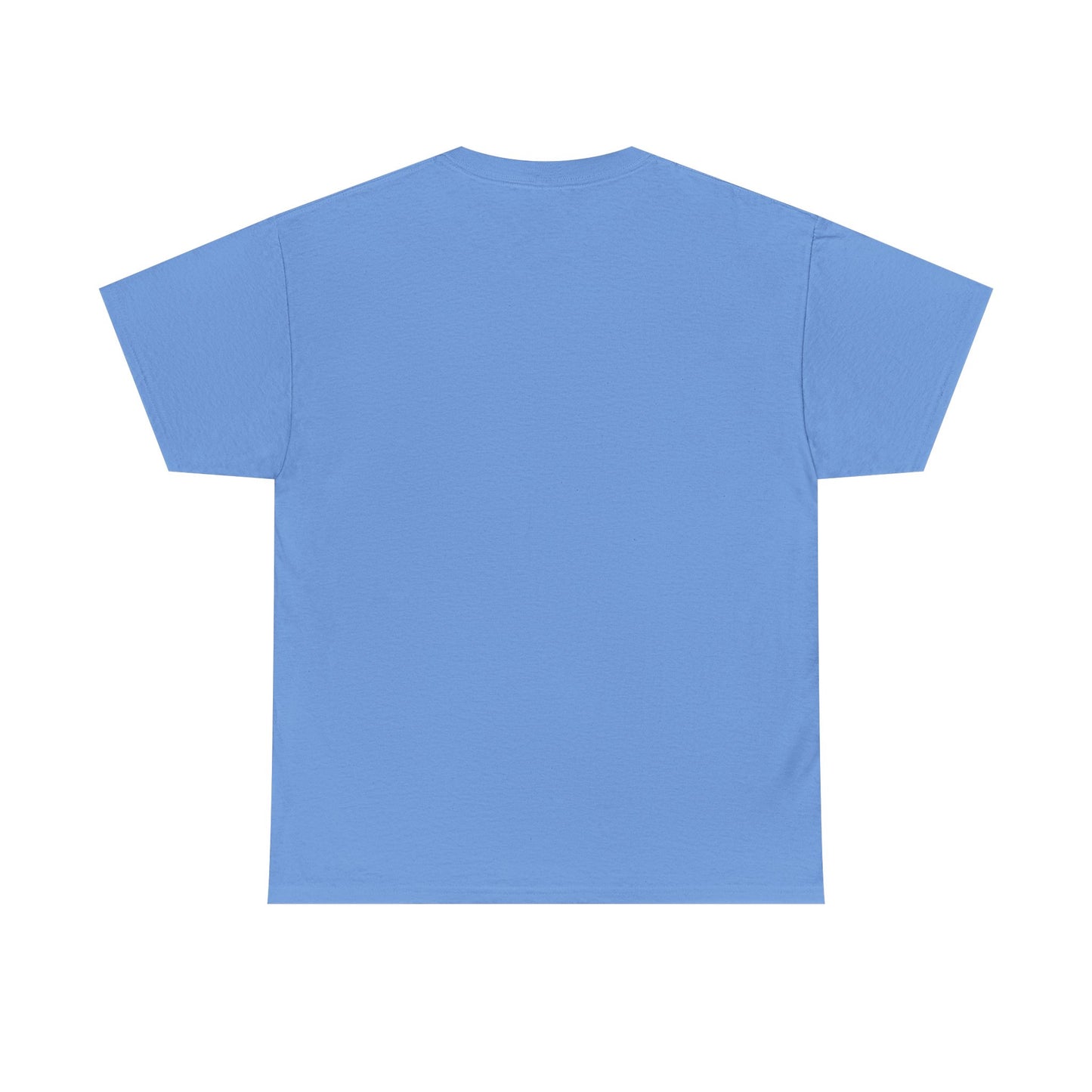 Lost Shaker of Salt | RMNP | Heavy Cotton Tee