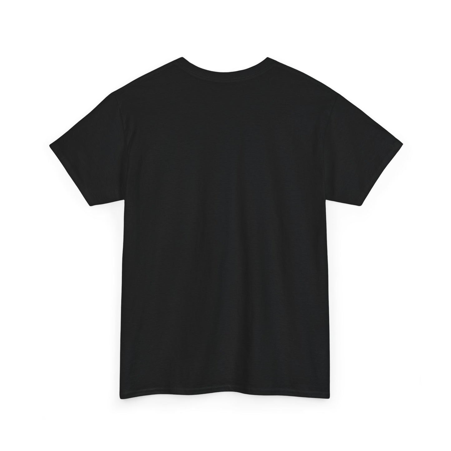 Lost Shaker of Salt | RMNP | Heavy Cotton Tee