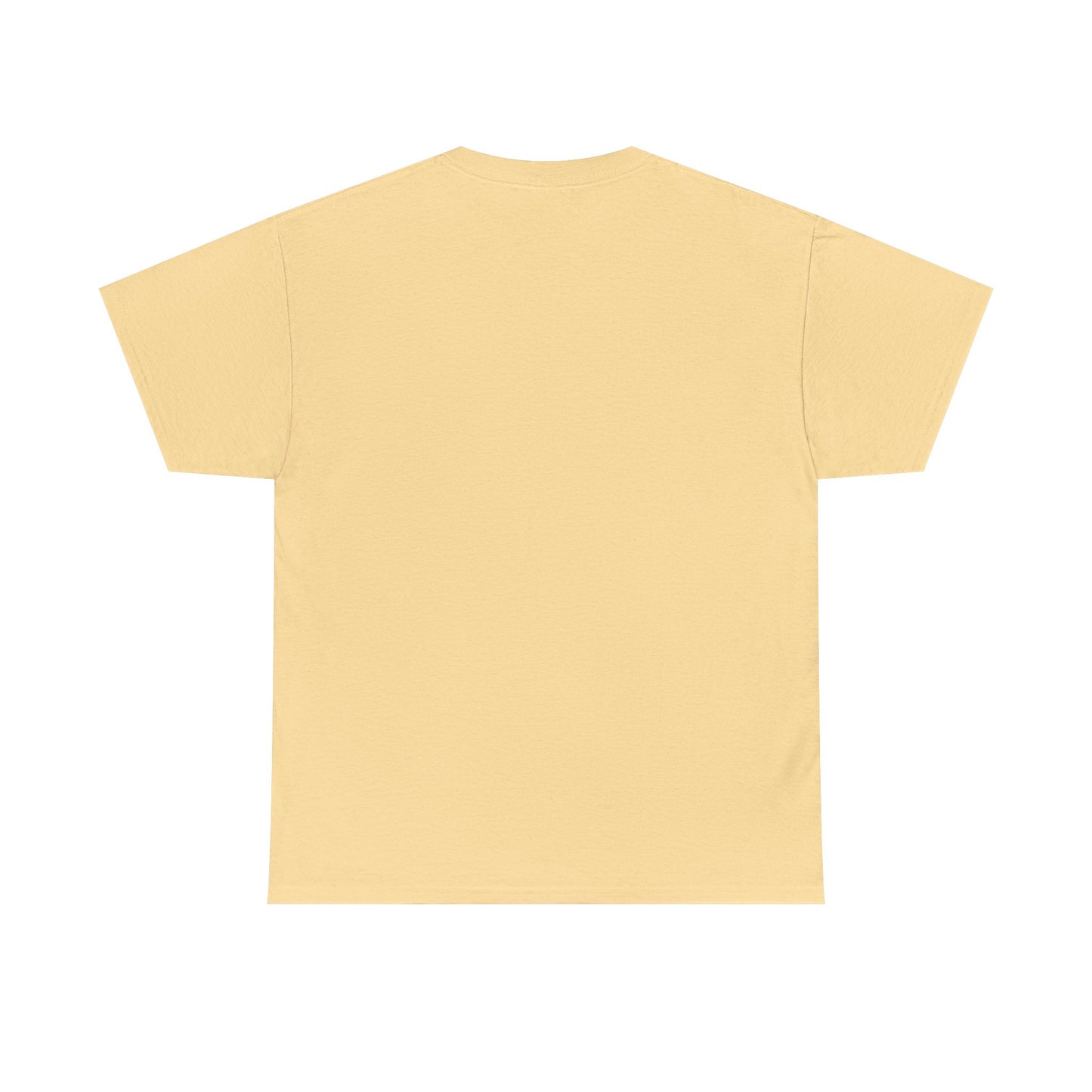 Lost Shaker of Salt | RMNP | Heavy Cotton Tee