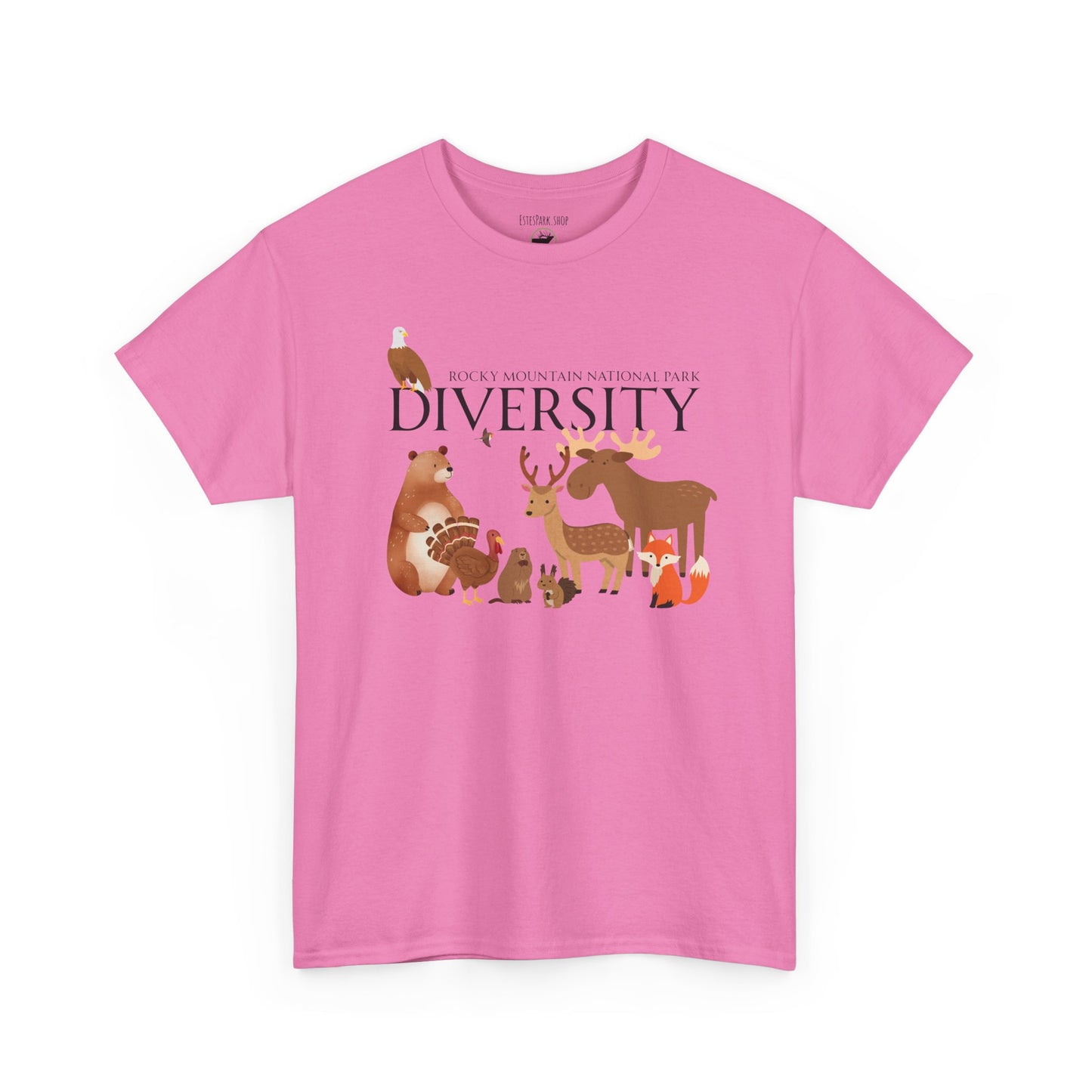 Diversity Thrives | RMNP | Unisex Heavy Cotton Tee