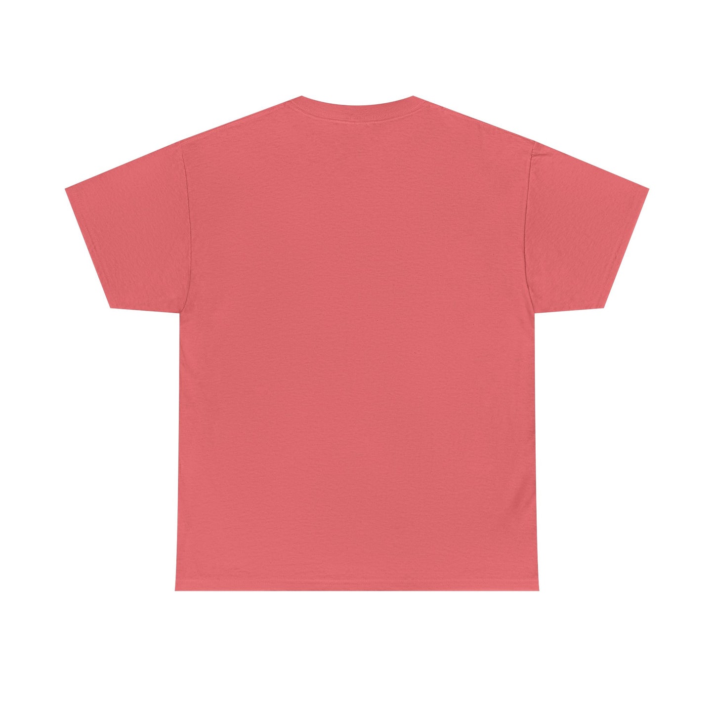 Lost Shaker of Salt | RMNP | Heavy Cotton Tee