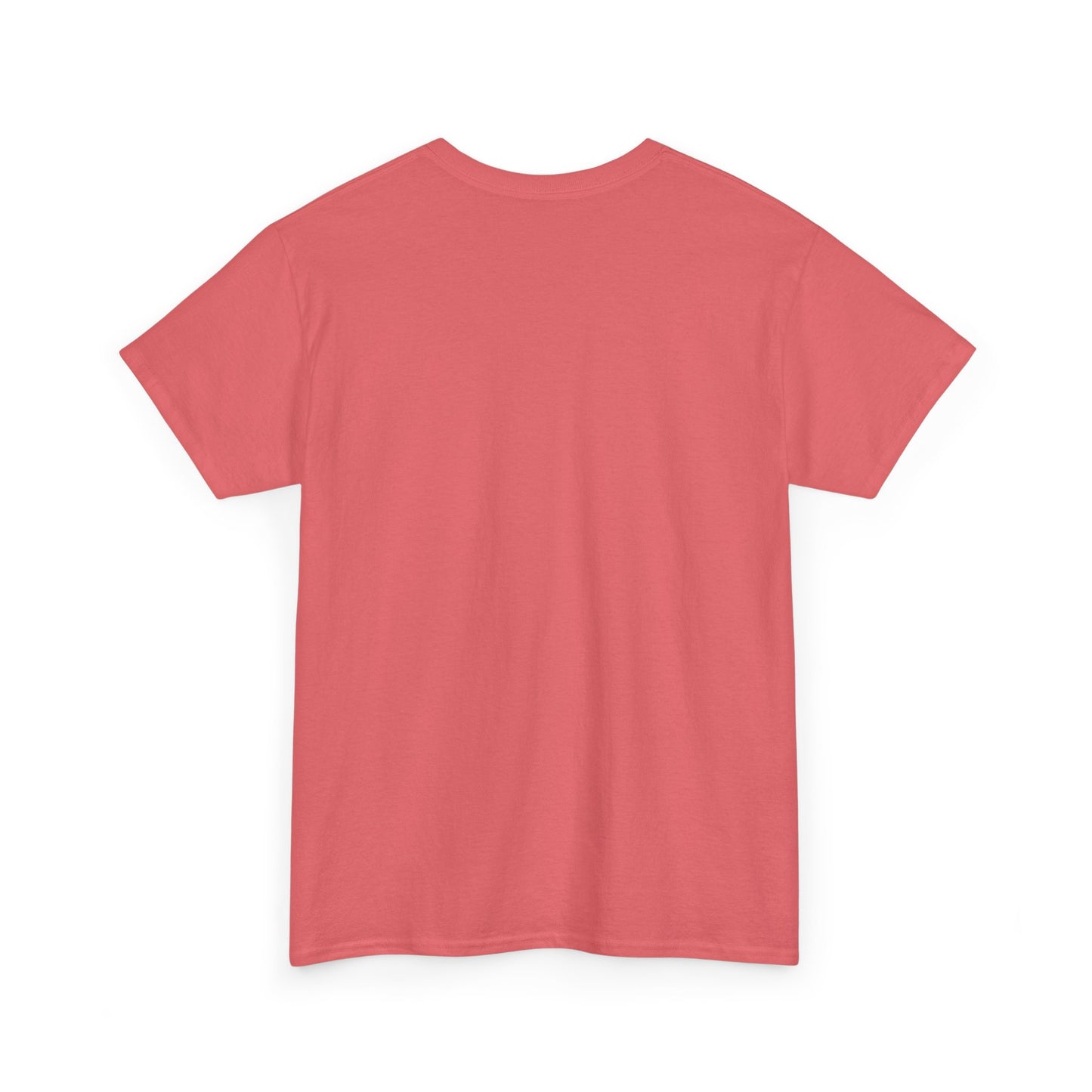 Lost Shaker of Salt | RMNP | Heavy Cotton Tee