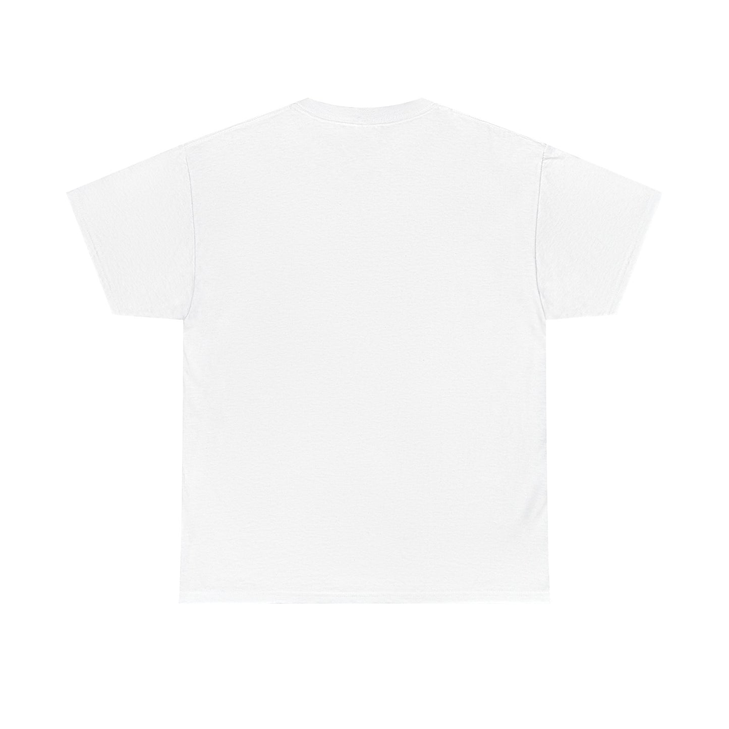 Lost Shaker of Salt | RMNP | Heavy Cotton Tee