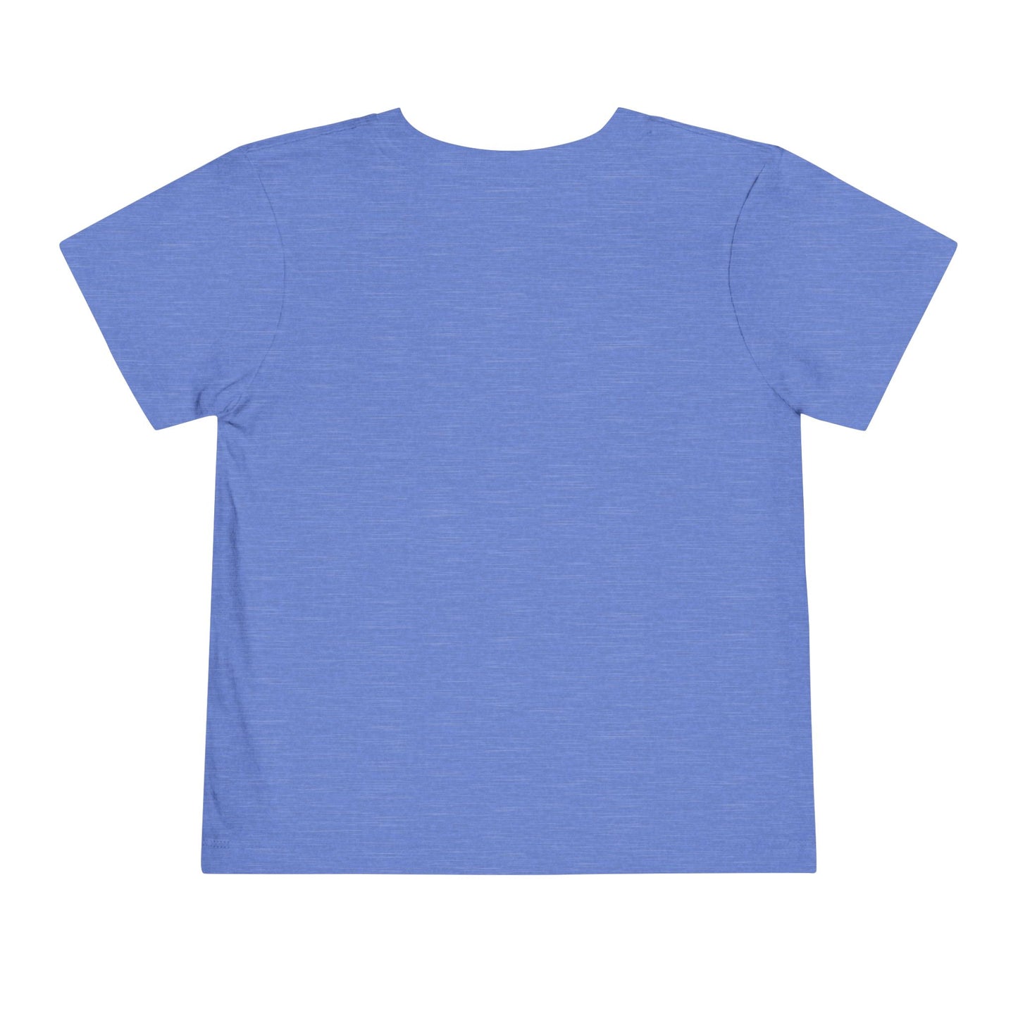 Here Moosey Moosey | RMNP | Cotton Toddler Tshirt