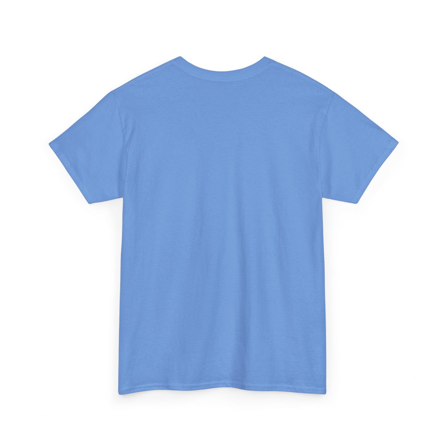Lost Shaker of Salt | RMNP | Heavy Cotton Tee
