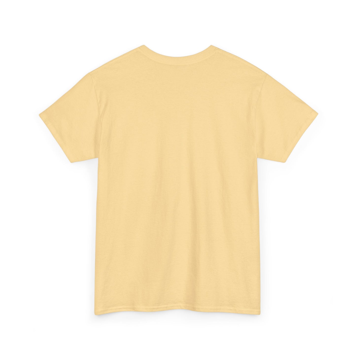 Lost Shaker of Salt | RMNP | Heavy Cotton Tee
